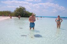 Isla Contoy and Isla Mujeres with All Inclusive Snorkeling