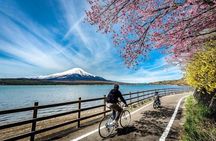 Mt fuji & Hakone customizable day tour w/ English speaking driver