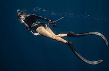 Whale watching 6 people half day