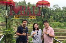 Ubud Private Tour From Cruise Port Benoa Bali All Inclusive