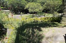 Half day walking tour in Leblon