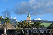 Private Full Day in Papeete and Tahiti Iti with Belveder Lookout