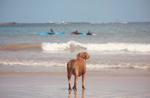 Private Tamarindo Costa Rica Surfing Class