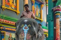 Exclusive Day Tour from Chennai to Discover Pondicherry