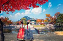 Customized Private Tour from Seoul
