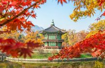 Customized Private Tour from Seoul