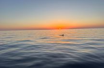 Aperitif Sunset at Sea Unforgettable Cruise at Sunset 