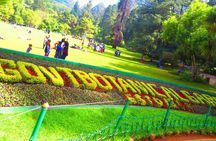 Coimbatore to Ooty Day Trip - Explore A Perfect Hill Station 
