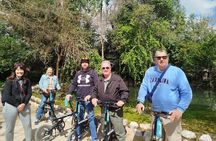 Discover the City Private e-bike tours