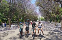 Discover the City Private e-bike tours