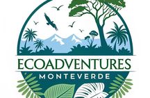 Natural History Walk in the Cloud Forest in Monteverde