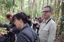 Natural History Walk in the Cloud Forest in Monteverde