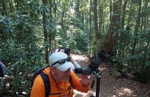 Natural History Walk in the Cloud Forest in Monteverde