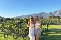 From Cape Town Private Luxury Wine Tour with Two Wine Tastings