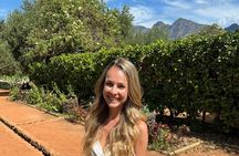 From Cape Town Private Luxury Wine Tour with Two Wine Tastings