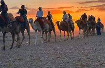 Agafay Desert Full-Day Experience: Quad, Camel, Pool & Dinner Show