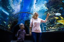 Antalya: Aquarium, Wax Museum & Combo Package Options