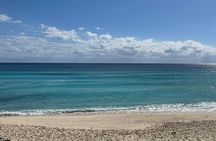 Private Jeep Tour in Cozumel to Local Areas with Snorkel & Lunch