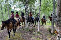 One and Half Hour Trail Ride at The Base of Chugach Mountains