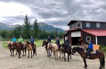 One and Half Hour Trail Ride at The Base of Chugach Mountains