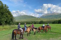One and Half Hour Trail Ride at The Base of Chugach Mountains
