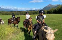 One and Half Hour Trail Ride at The Base of Chugach Mountains