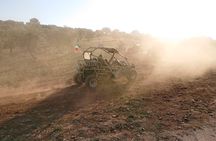 Buggy Quad Tour near Alberobello Monopoli Polignano a Mare