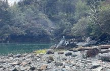 Historical Walking Tour of Abandoned Gold Rush Era City with AR