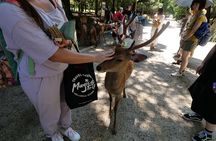  Nara and Osaka Highlights Private Day Trip Tour 