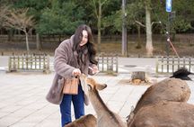  Nara and Osaka Highlights Private Day Trip Tour 