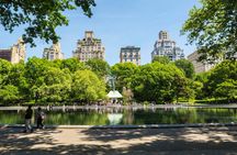 First Class Central Park Tour – Iconic Views & VIP Photo Moments