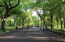 First Class Central Park Tour – Iconic Views & VIP Photo Moments