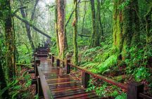 A Day Trip to Doi Inthanon Escape to Nature