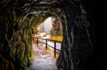 Bohemian & Saxon Switzerland From Prague-Travelers' Choice 2026