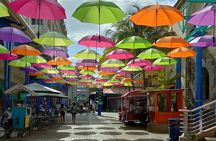 Port Louis Market, Botanical Garden & Temple-North Mauritius Tour