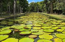 Port Louis Market, Botanical Garden & Temple-North Mauritius Tour