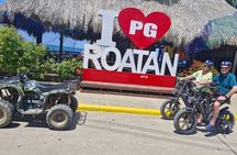 Mangrove Tunnel, E-Bike Adventure, Food Tasting & Beach daypass 