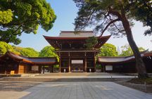 Customizable Private Tokyo Tour with English Speaking Driver