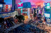 Customizable Private Tokyo Tour with English Speaking Driver