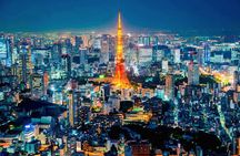 Customizable Private Tokyo Tour with English Speaking Driver