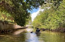 Clear Kayak Tour in South Miami Beach and Biscayne Bay