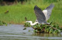 3h Boat Safari - Montreal’s Nature and Iconic Attractions Tour