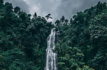 Maasai Village, Materuni Waterfalls & Coffee Tour
