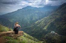 Ella Experience with Picturesque Tea Estate and Train Journey