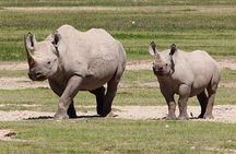 3 Days Lake Manyara Ngorongoro Crater and Tarangire Safari