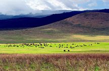 3 Days Lake Manyara Ngorongoro Crater and Tarangire Safari