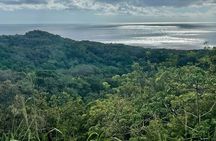 ATV-Off Road + Roatan City Tour