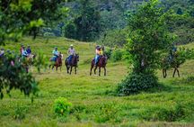 Pacos Horseback Ride Through Arenal’s Forest and Cross Rivers
