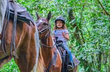 Pacos Horseback Ride Through Arenal’s Forest and Cross Rivers