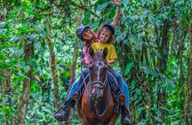 Pacos Horseback Ride Through Arenal’s Forest and Cross Rivers
